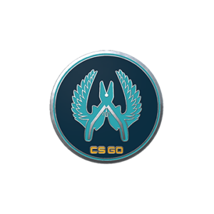 Guardian Pin